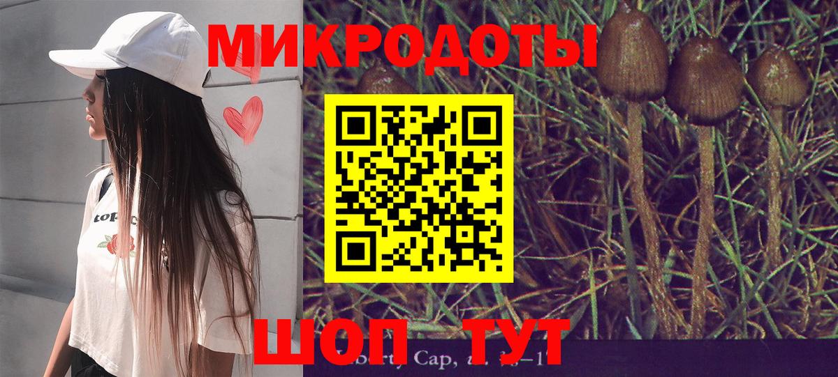Липецк  Галлюциногенные грибы Cubensis  Вход с VPN 