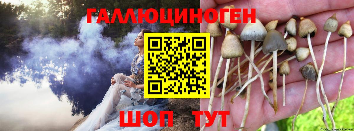 Бошки Шишки  Липецк  Вход с VPN  ТГК  ГАШ  Меф МЯУ МЯУ кристаллы  Кокаин  ГАШИШ 